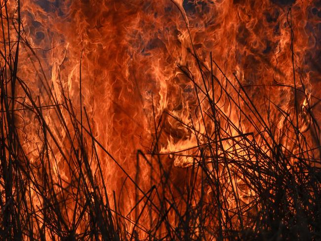 A generic photo of a grassfire outside Darwin, fire , grass bush climate changePicture: Glenn Campbell