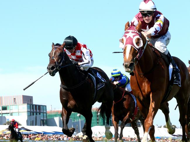 Stratum Star wins the David Jones Cup at Caulfield last year. Picture: Mark Dadswell