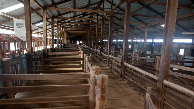 The wool shed at Yanga station