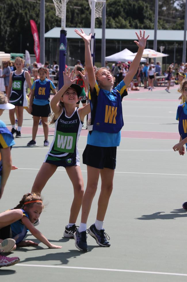 The Netball Qld Primary Schools Cup grand finals are being held at the Hinterland District Netball Association at Mudgeeraba. Picture: Mike Batterham.
