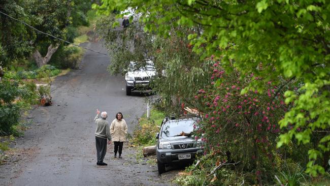 Blackwood residents examine the damage to cars caused by the storm. Picture: Keryn Stevens