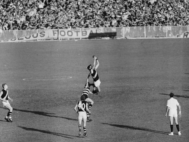 Royce Hart’s classic mark.
