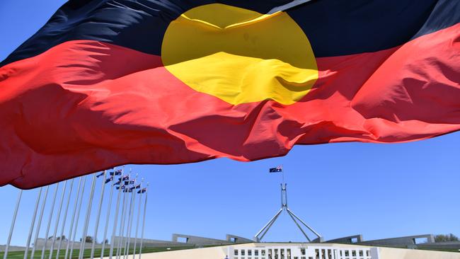 A marcher holds a flag as he protests for Aboriginal rights on Australia Day at Parliament House in Canberra on January 26, 2020. (AAP Image/Mick Tsikas)