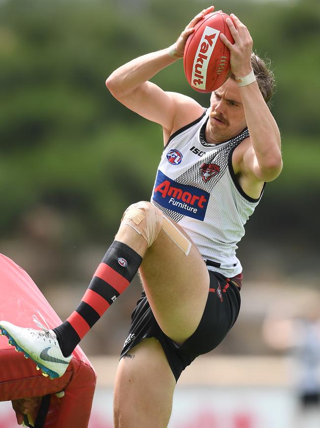 Daniher flies for a mark. Picture: Getty