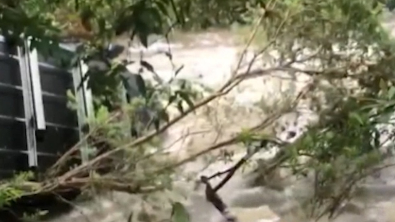 Police rescue four people from flood waters in NSW | news.com.au ...