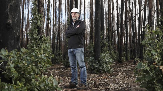 Kangaroo Island Plantation Timbers managing director Keith Lamb. Picture: Sarah Reed