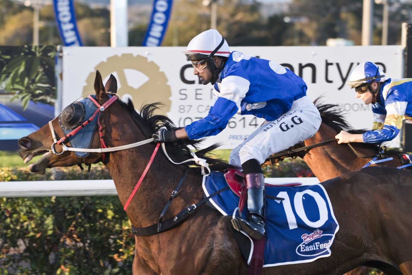 Petite Elle ridden by Girish Goomany wins race 2. Picture: Nev Madsen