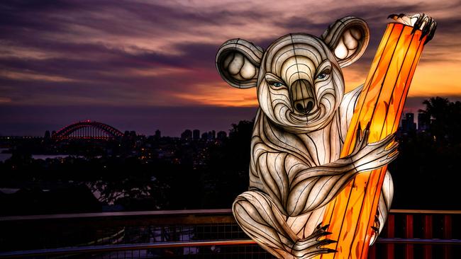 A Wild Lights at Taronga display, part of Vivid Sydney. Picture: Destination NSW