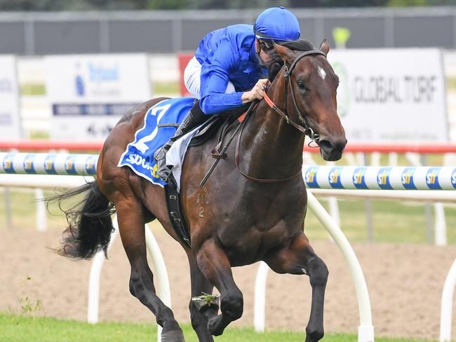 Aleppo Pine ridden by Jye McNeil wins the The Courier Handicap at Sportsbet-Ballarat Racecourse on December 07, 2024 in Ballarat, Australia. (Photo by Brett Holburt/Racing Photos via Getty Images)