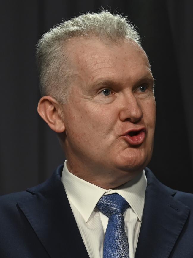 Employment Minister Tony Burke. Picture: NCA NewsWire / Martin Ollman