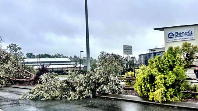 Trees down in Bray Park this morning. Picture: Facebook