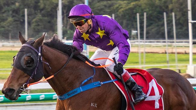 Rock Spur wins the Open Handicap (1900m) at Cairns on Tuesday. Picture: Mike Mills.