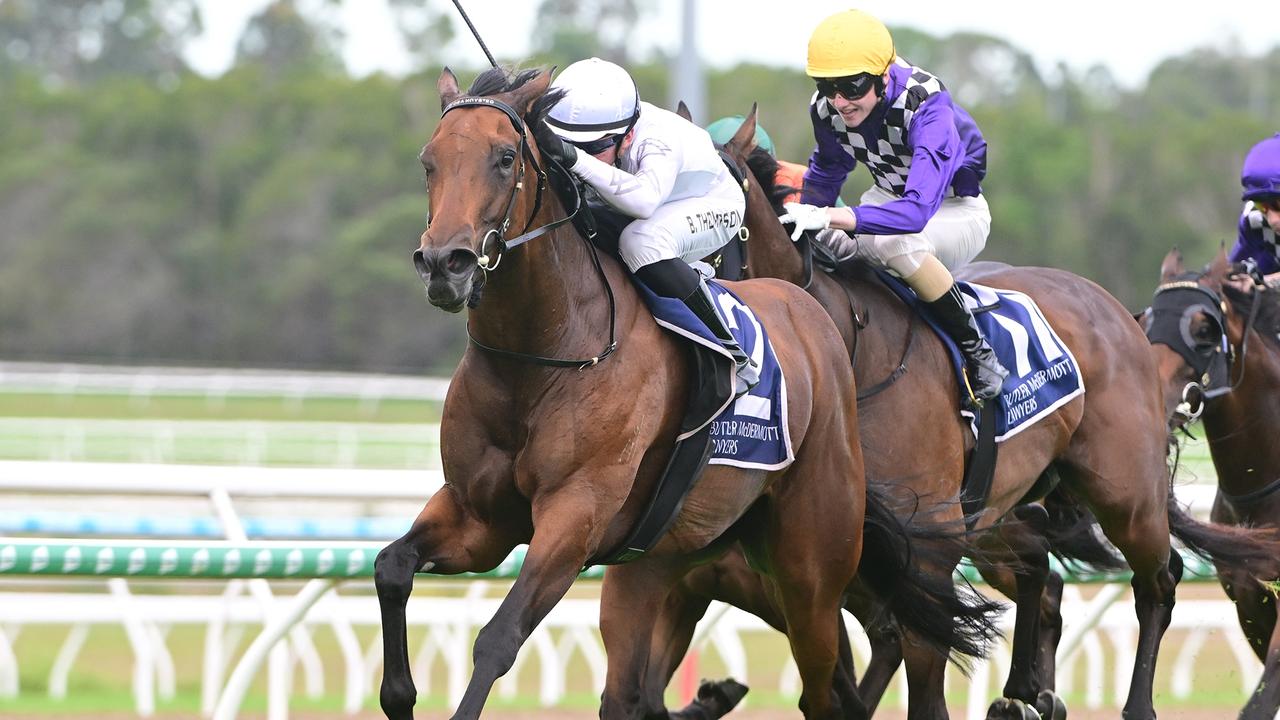 Supplied Editorial Chaillot wins the Sunshine Coast Cup for trainer Steve O'Dea and
 jockey Ben Thompson - pic credit Grant Peters, Trackside Photography