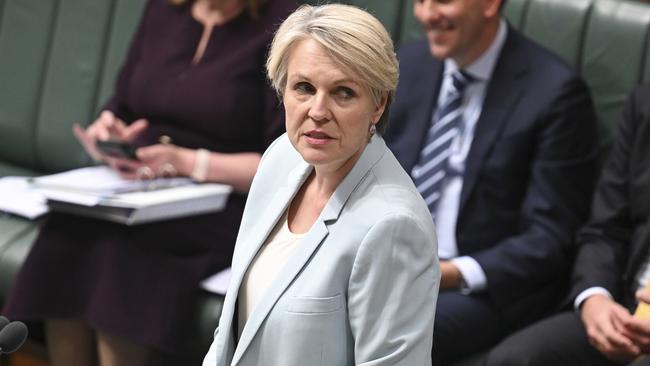 CANBERRA, Australia - NewsWire Photos - September 10, 2024: Minister for Environment and Water Tanya Plibersek during Question Time at Parliament House in Canberra. Picture: NewsWire / Martin Ollman