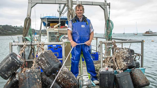 Flinders Mussels founder Harry Mussel, is one of the State Winners in 2021 Delicious Harvey Norman Produce Awards. Picture: Jason Edwards