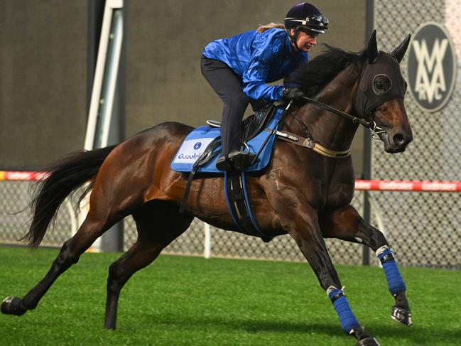 Jamie Kah is bigger than most female jockeys, with the precision and core strength of a trapeze artist. Picture: Getty Images