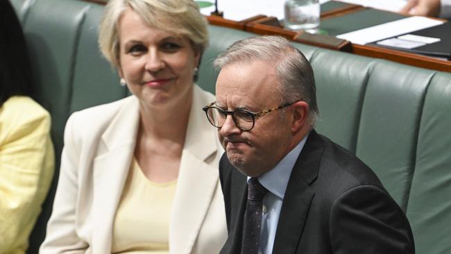 CANBERRA, AUSTRALIA, NewsWire Photos. FEBRUARY 14, 2024: Minister for Environment and Water Tanya Plibersek and Prime Minister Anthony Albanese during Question Time at Parliament House in Canberra. Picture: NCA NewsWire / Martin Ollman