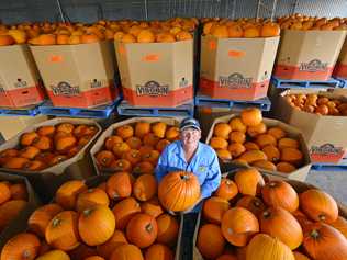 CARVING UP: Queenslanders can carve their own Halloween pumpkins grown in their home state by Bowen based Stackelroth Farms pumpkin grower Belinda Williams. Picture: Staff Photographers