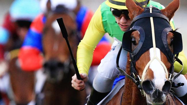 Arise Augustus will return from a break at Canterbury on Wednesday. Picture: Jenny Evans
