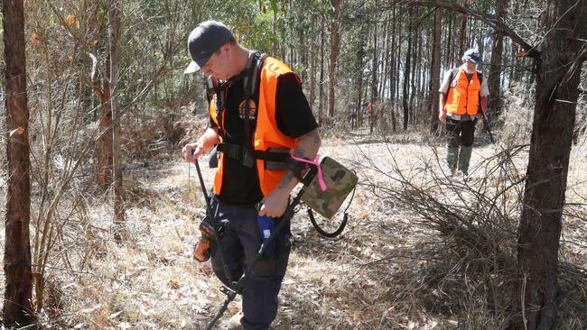 Volunteers search for Murphy in Ballarat. Picture: NewsWire / David Crosling