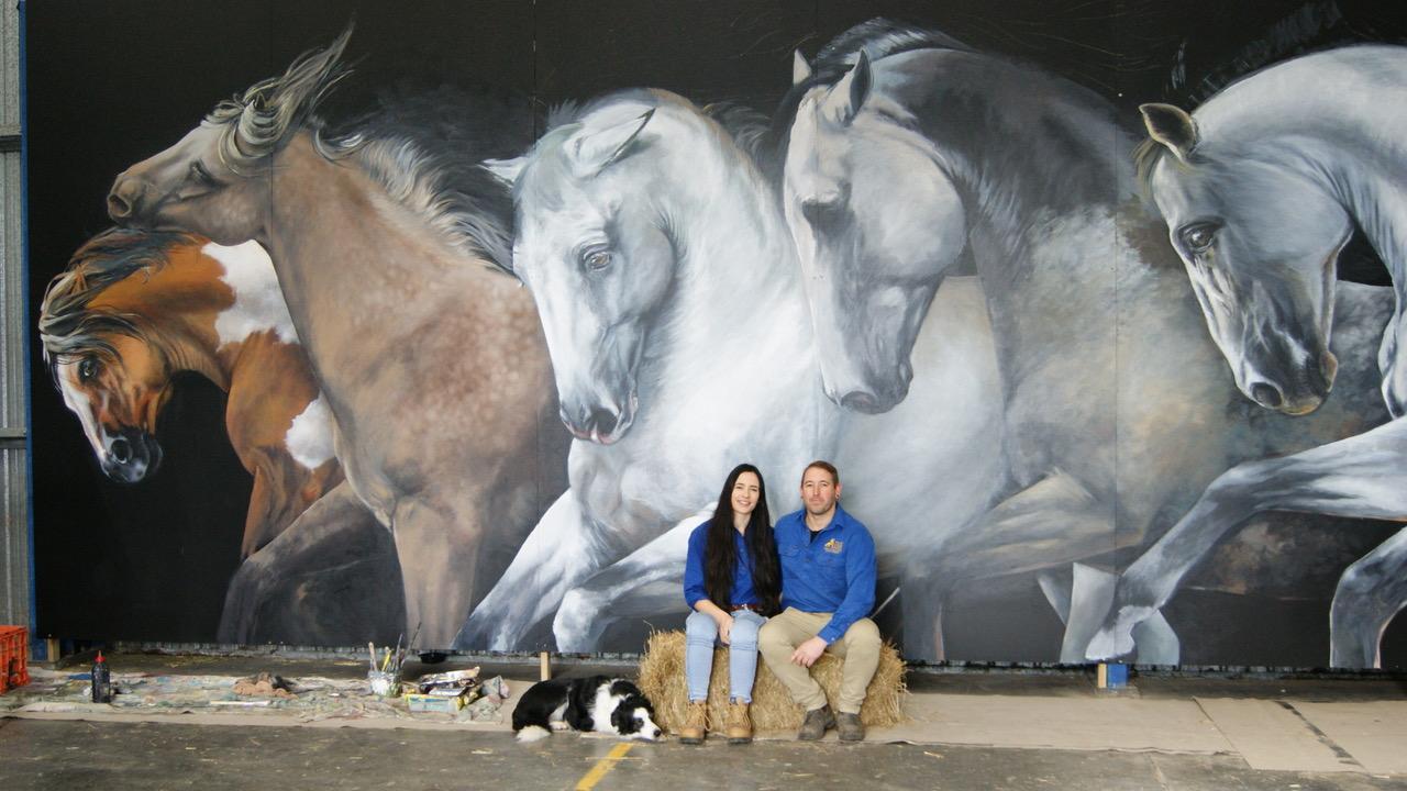 Brumby mural hoping to raise awareness of protecting Victorias horse heritage The Weekly Times