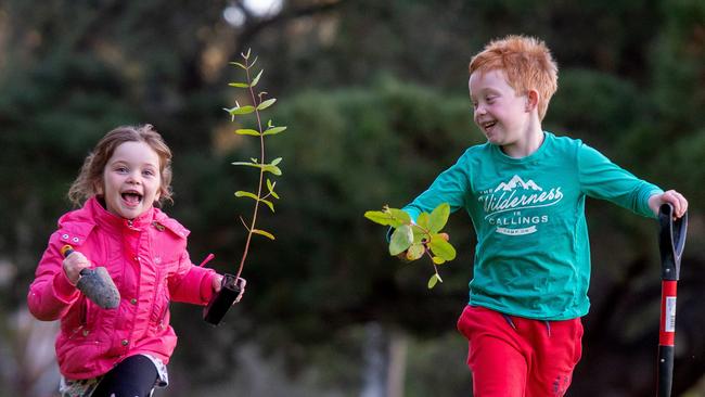 National Tree Planting Day is on Sunday July 28th.  Lily (5) and Charlie (9) Bigelow getting set for the tree planting.Picture Jay Town