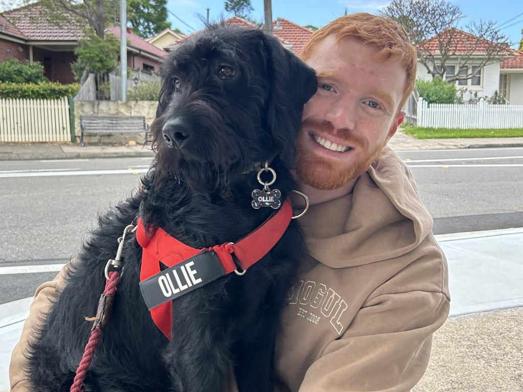 New South East Melbourne Phoenix recruit Angus Glover and best mate Ollie, the Labradoodle.