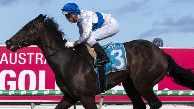 Zoustyle winning brilliantly at the Gold Coast. Picture: Magic Millions