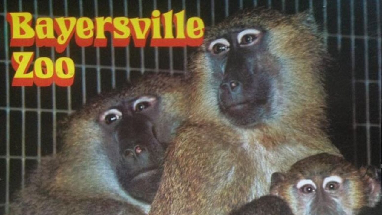 A postcard from Bayersville Zoo. Picture: Geoff Beetlenut via Have you seen the Old Mackay