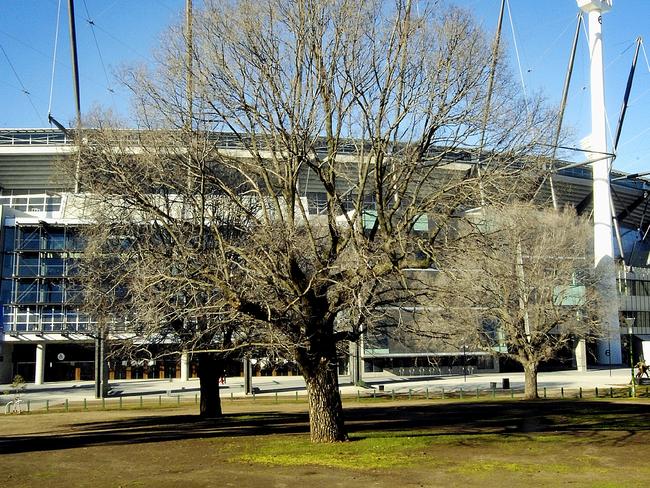 Cars will be locked out of the MCG grounds for blockbusters. Picture: Tony Gough