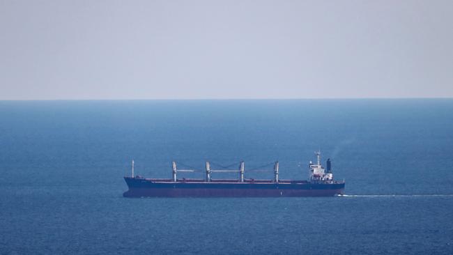 The Eneida bulk carrier sails towards the Ukrainian Black Sea port of Chornomorsk last month. Picture: AFP