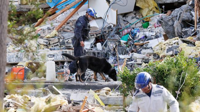 A sniffer dog is also involved in the search. Picture: NewsWire / Max Mason-Hubers