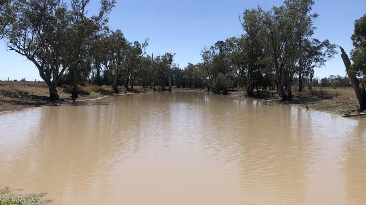 Hayes Creek in Moonie is going up for auction on December 3. Picture: realestate.com.au