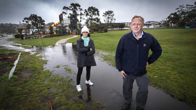 Clarence Alderman Richard James and community member Joanne Marsh who have concerns about the direction the council is taking the Bellerive Beach masterplan. Picture Chris Kidd