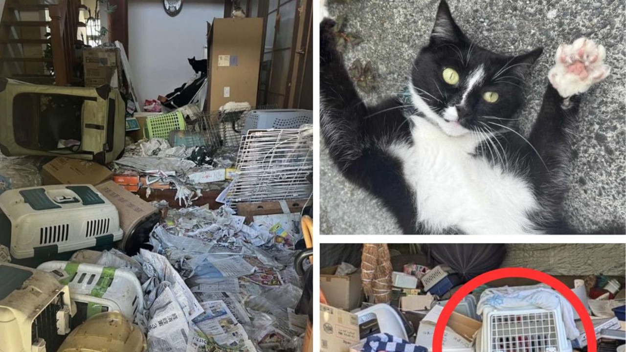 Truly horrific find in hoarder’s house