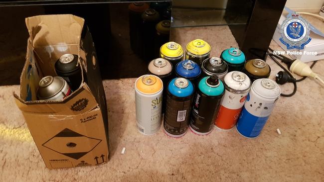 Some of the spray cans police found at his Blue Haven address along with three 30cm-tall cannabis plants. Picture: NSW Police