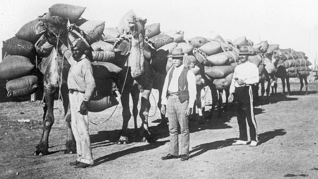 John Flynn: An ‘Afghan’ camel driver with two unknown men, standing next to a camel train , c. 1912-1930.