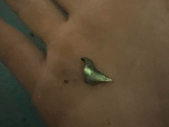 More shards of metal. Picture: Facebook