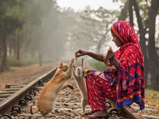 A woman in Chittagong, Bangladesh - known locally as “Minnie’s mother” - feeds her pet cats, each one of them named Minnie. She spends half of her daily earnings to care for her many pets. Picture: Mohammad Fayzul Mowla/Pink Lady® Food Photographer of the Year