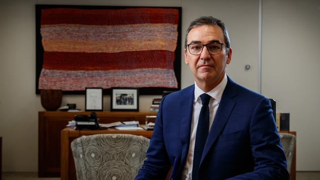 Premier Steven Marshall reflects on the political challenges of the coronavirus pandemic. Picture: Matt Turner