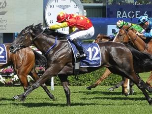 Autumn Bloom an kick off her three-year-old campaign with a win at Hawkesbury on Thursday. Picture: Bradley Photos.