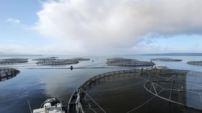 Tassal salmon pens in Macquarie Harbour, Tasmania. Leading experts say the practice is catastrophic to the local environment. Picture: Mathew Farrell