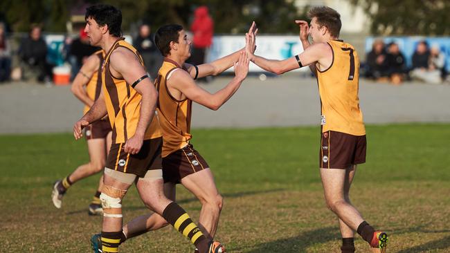 West Croydon's Luke Woodcock celebrating his goal in the 2016 grand final. Woodcock has been crucial again for the Hawks this season. Picture: Matt Loxton