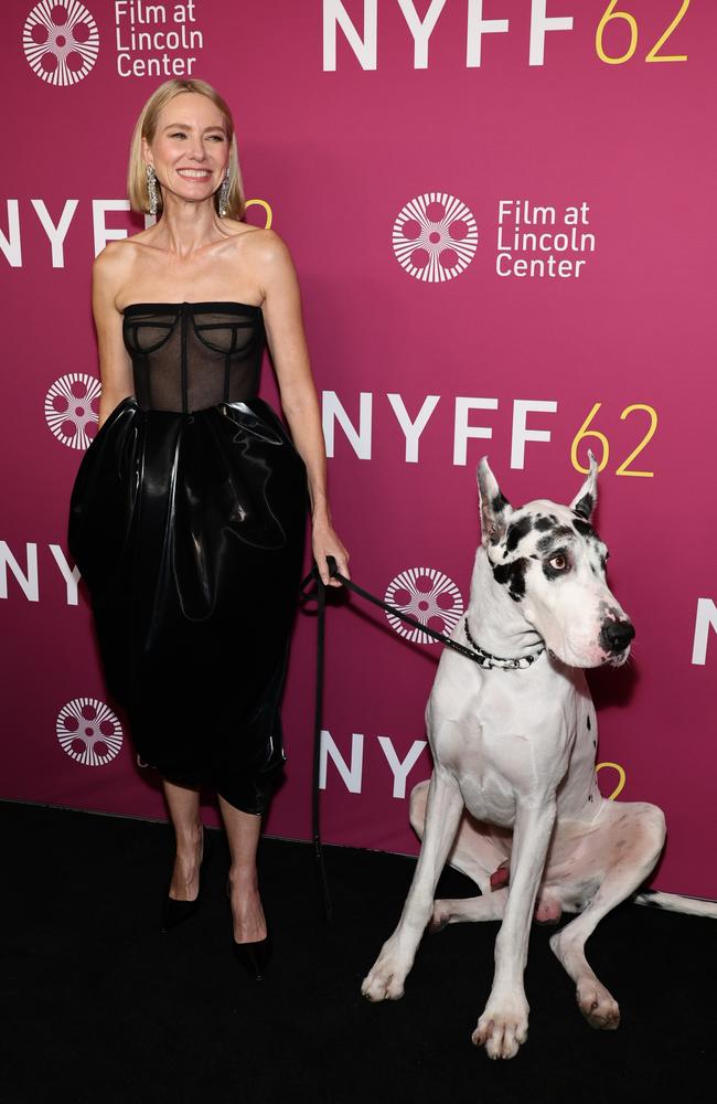 Naomi Watts and her handsome co-star Bing attend the screening of “The Friend” in New York City. Picture: Arturo Holmes/Getty Images for FLC