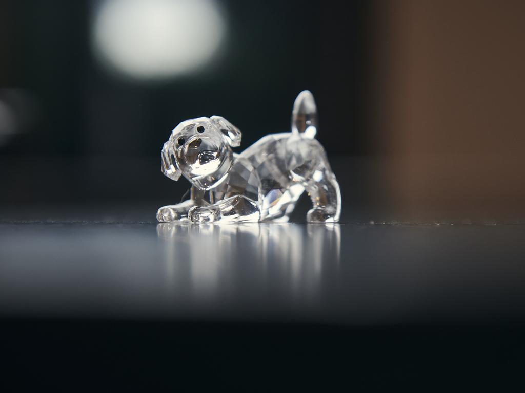 The Swarovski dog. Picture: Eugene Hyland