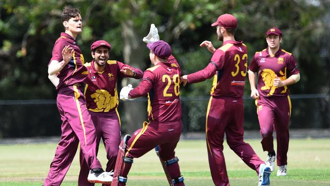 The Lions celebrate on Saturday. Picture: Steve Tanner