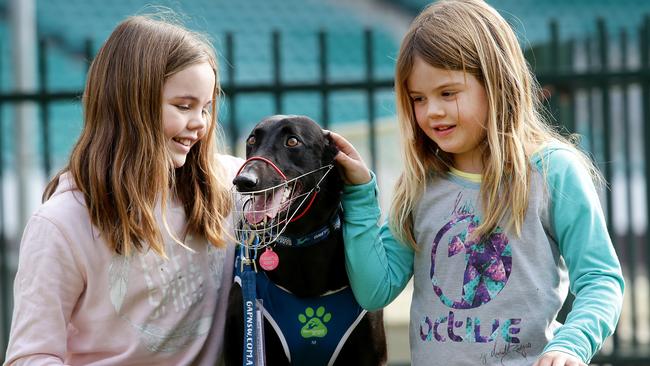 Sisters Grace and Hope Hill from Towradgi with greyhound Olivia who they decided to adopt.  Picture: Jonathan Ng