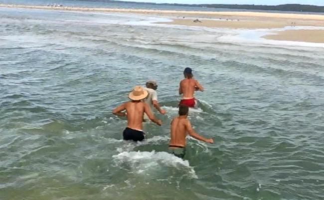 Four young lads rescued a dolphin when it became stranded on a  small sand island off Inskip Point on Saturday. Picture: Contributed