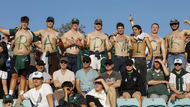 Randwick supporters at the 2023 Shute Shield grand final at Leichhardt Oval. Picture: Karen Watson