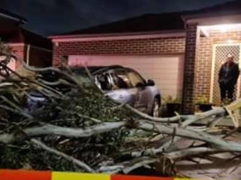 Wild weather has caused havoc in Liverpool on August 9. Pictures: Fire and Rescue NSW